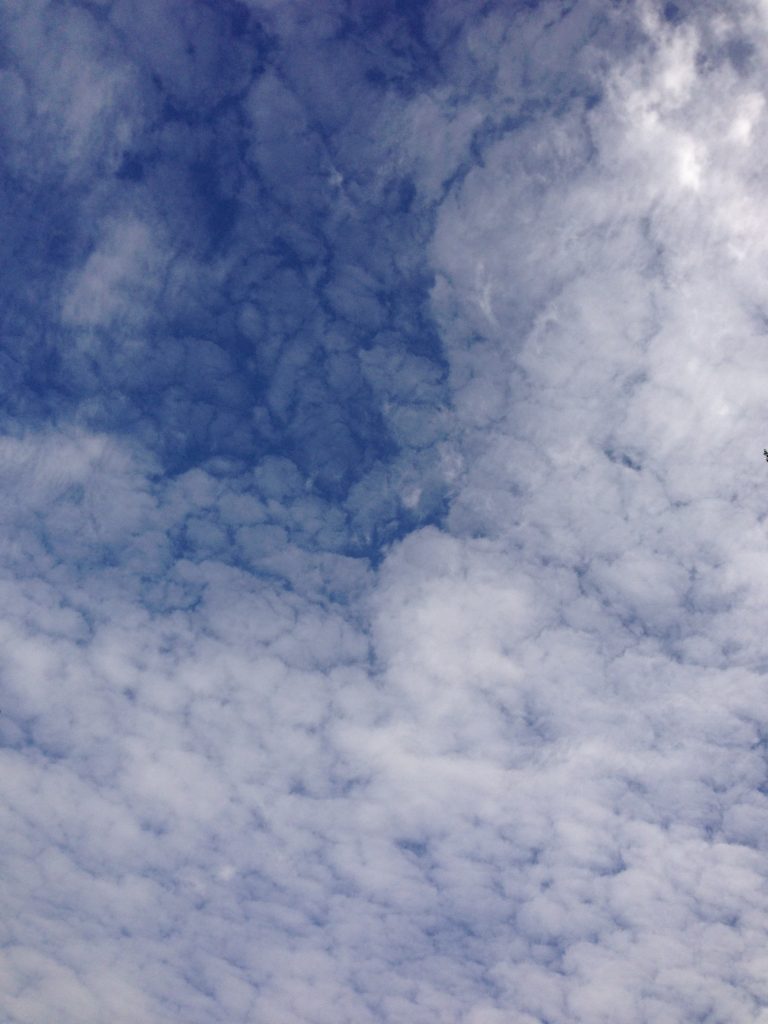 Holly Wilson-SWAIA 2013-Sky